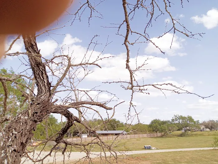 Windmill Heights RV Park Picture 4