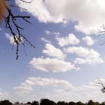 Windmill Heights RV Park