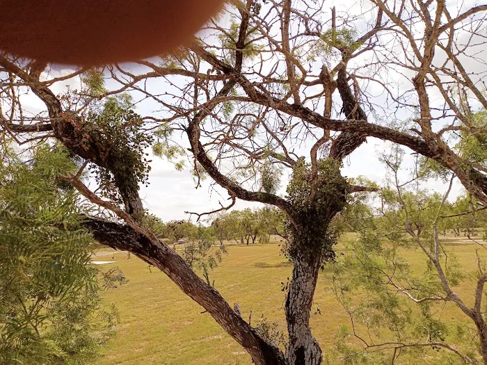 Windmill Heights RV Park Picture 5