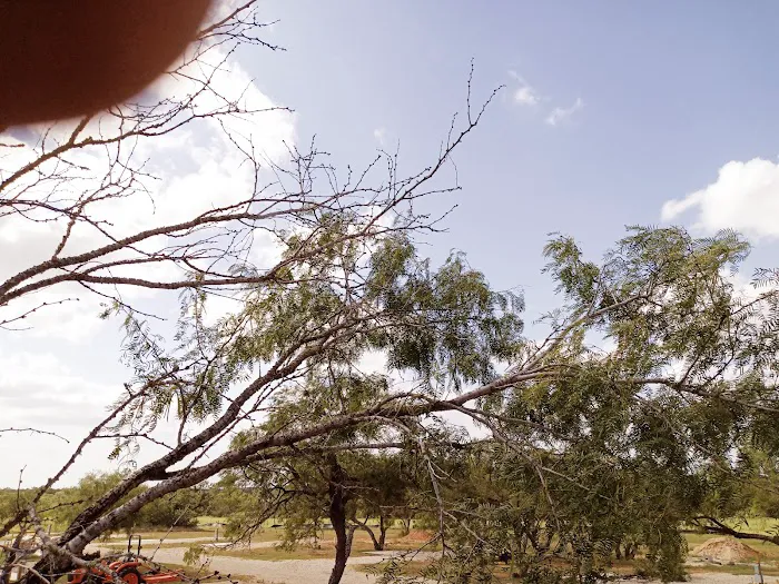 Windmill Heights RV Park Picture 7