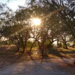 Shady Haven RV Sites