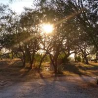 Shady Haven RV Sites ico