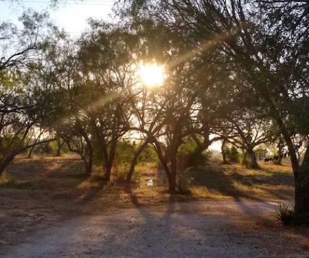 Shady Haven RV Sites