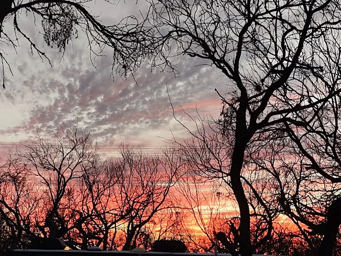 Shady Haven RV Sites Picture 5