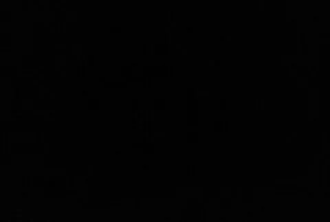 MADE IN THE SHADE RV PARK Picture 1