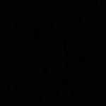 MADE IN THE SHADE RV PARK