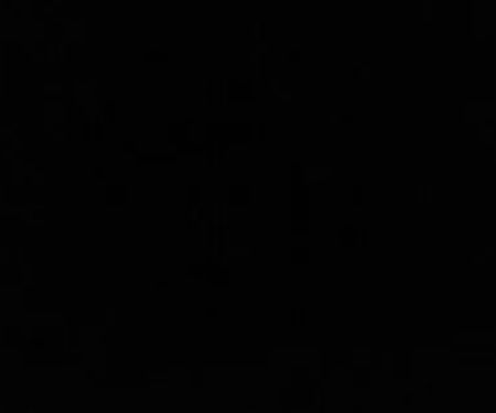 MADE IN THE SHADE RV PARK