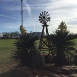 Cactus Country RV Park