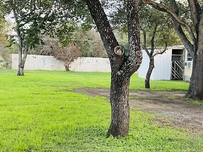 Lake Calaveras Mobile Home Park / RV Community Picture 3