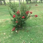 Broken Spoke RV Park