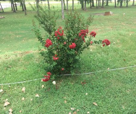 Broken Spoke RV Park