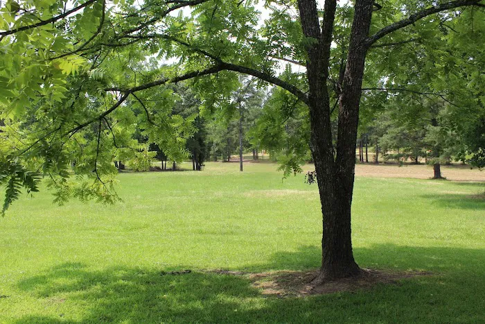 Totality 3:51 Eclipse 2024 Camping Picture 1