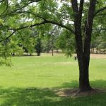 Totality 3:51 Eclipse 2024 Camping