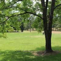 Totality 3:51 Eclipse 2024 Camping ico