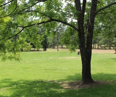 Totality 3:51 Eclipse 2024 Camping