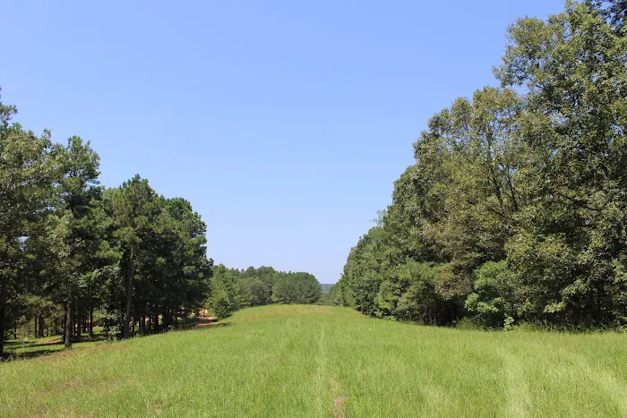 Totality 3:51 Eclipse 2024 Camping Picture 5