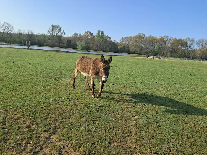 Mena RV Park Picture 2