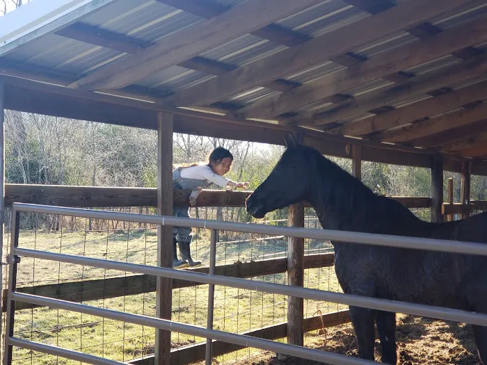 Mena RV Park Picture 6