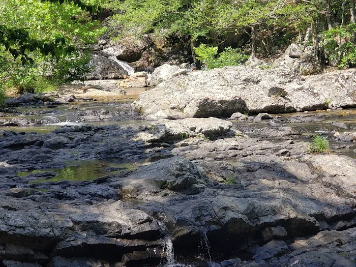 Mena RV Park Picture 5