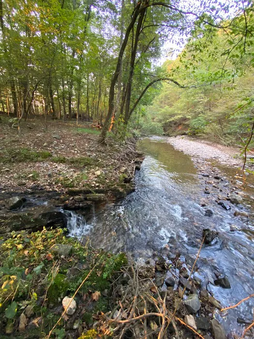 Brookside RV Retreat Picture 5