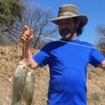 Hinton Top Properties, LLC