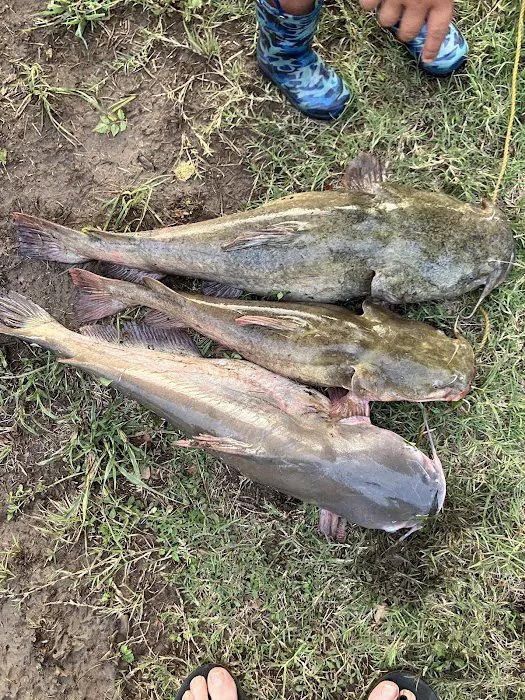 Hinton Top Properties, LLC Picture 10