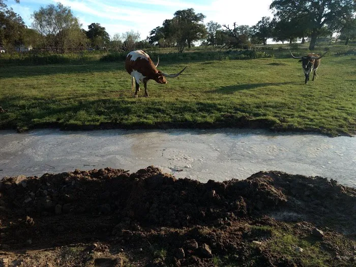 LifeSpace RV Park Picture 4