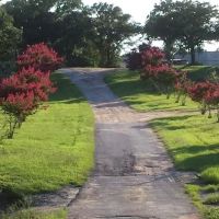 LifeSpace RV Park ico