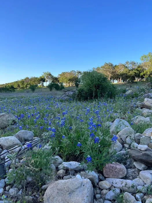 Cedar Stays RV Park Picture 4