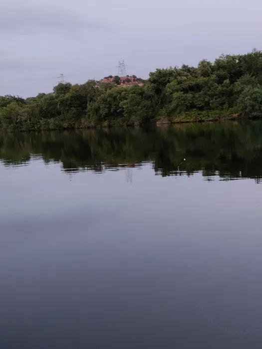 Shady Oaks Riverside Rv Retreat Picture 1