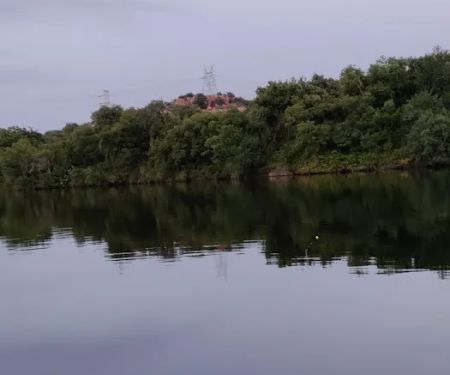 Shady Oaks Riverside Rv Retreat