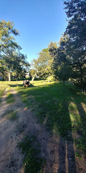 Shady Oaks Riverside Rv Retreat Picture 8