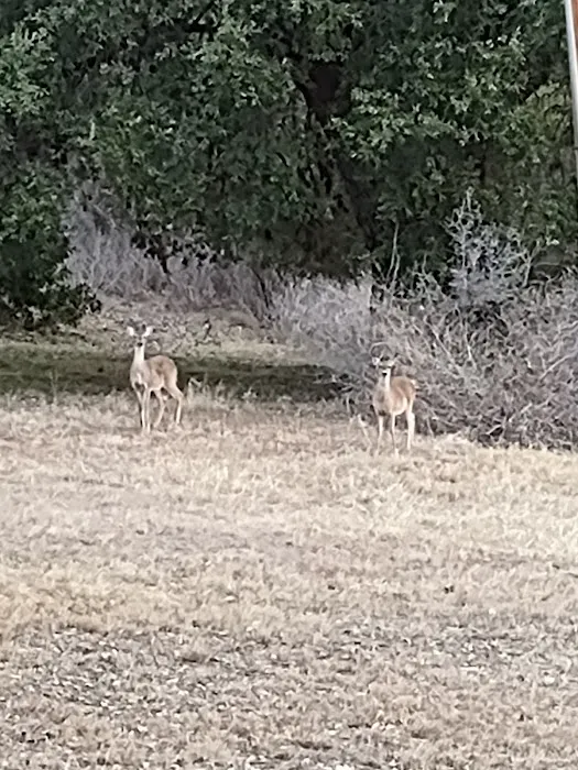 Shady Oaks Riverside Rv Retreat Picture 5