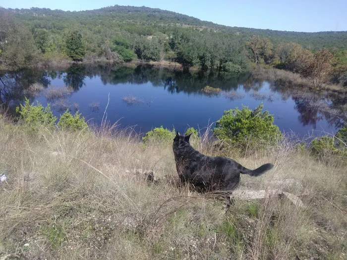 JAy ranch Picture 10