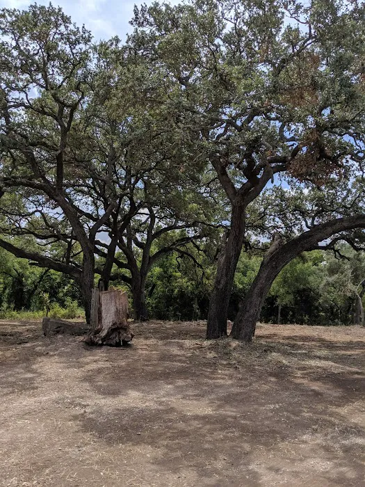 6 Oaks Tiny Home (and RV Park) Picture 1