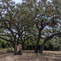 6 Oaks Tiny Home (and RV Park) ico