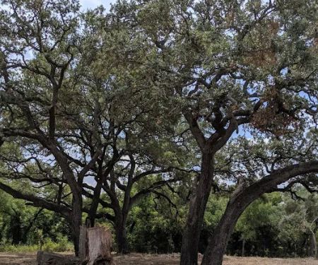 6 Oaks Tiny Home (and RV Park)