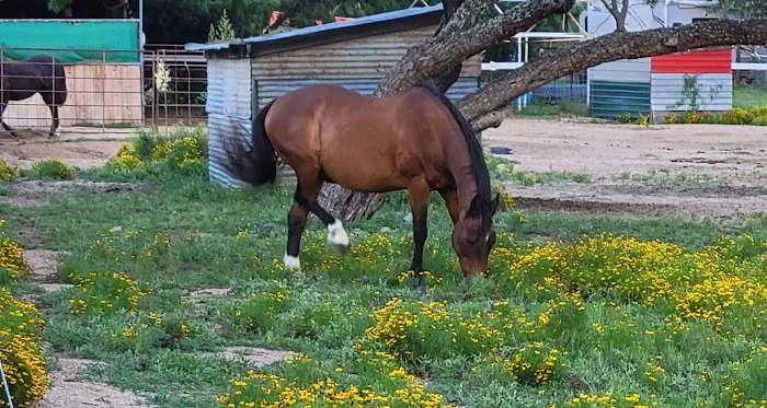 Freedom Lives Ranch RV Resort Picture 1