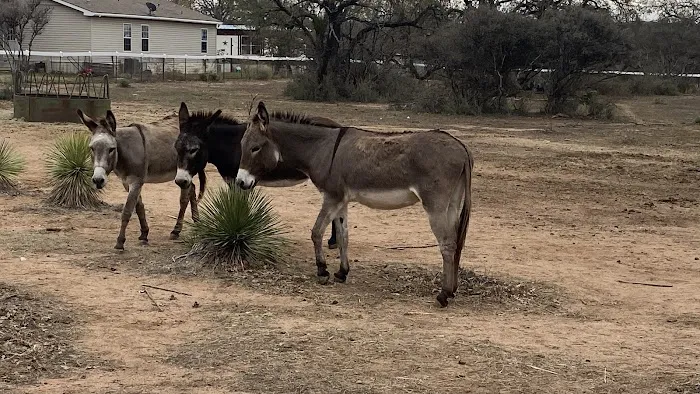 Freedom Lives Ranch RV Resort Picture 3
