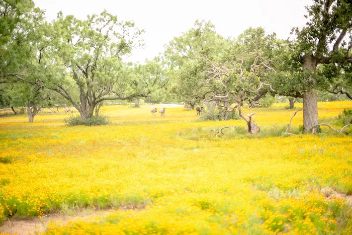 Freedom Lives Ranch RV Resort Picture 7