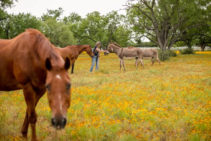 Freedom Lives Ranch RV Resort Picture 9