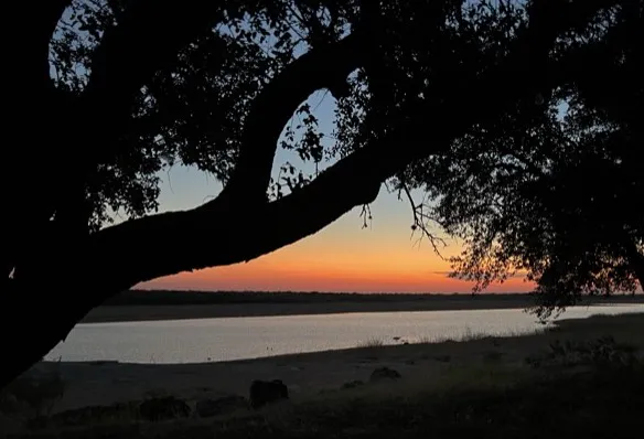 Lake Park Buchanan Picture 1