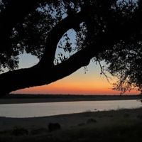 Lake Park Buchanan ico