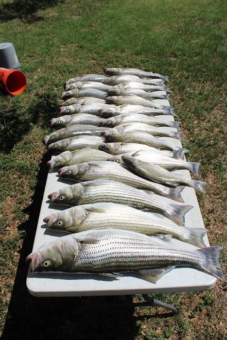 Bluebonnet Cove Casitas & RV Park Picture 6