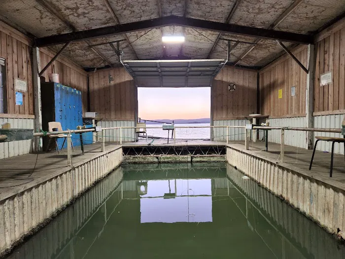 Hi-Line Lake Resort Picture 2