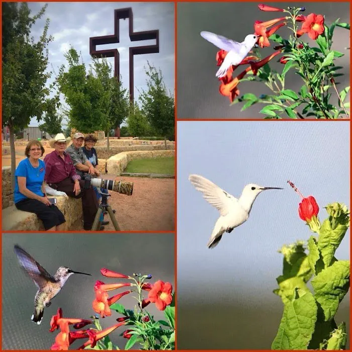 Sherwood Forest RV Park Picture 2