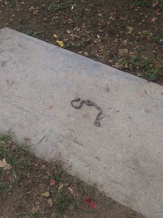 Sherwood Forest RV Park Picture 1