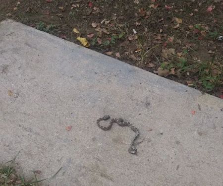 Sherwood Forest RV Park