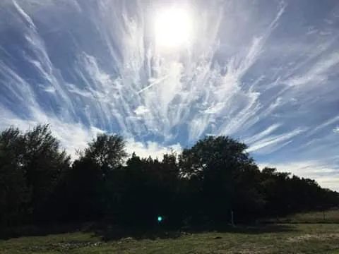 Marble Falls RV Park Picture 4