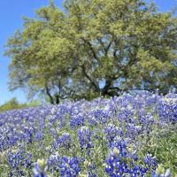 Marble Falls RV Park ico